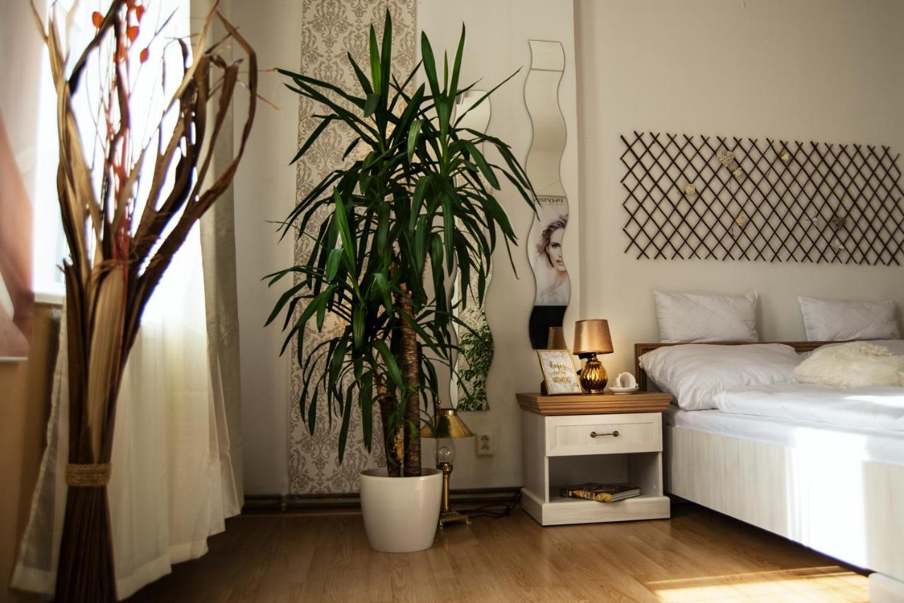 Beauty-Spa Apartment Decin Exterior foto