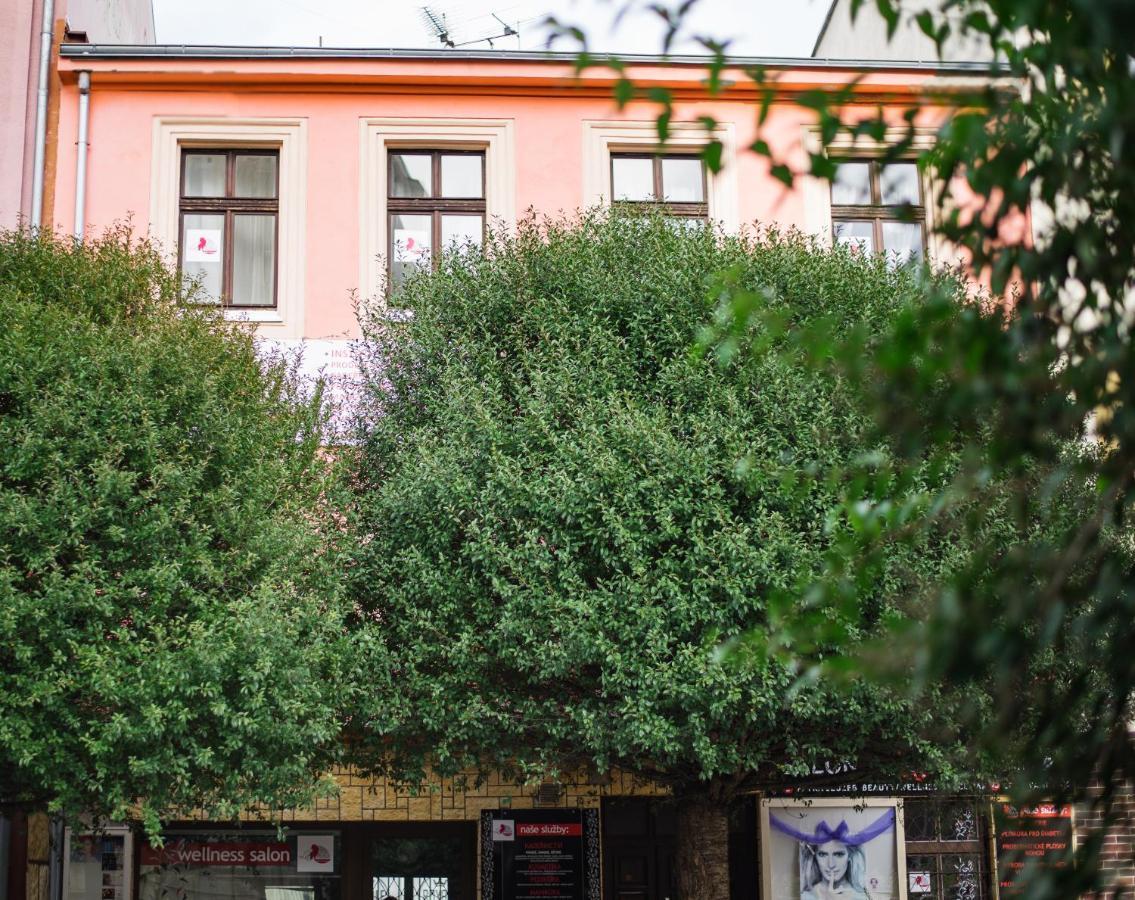 Beauty-Spa Apartment Decin Exterior foto